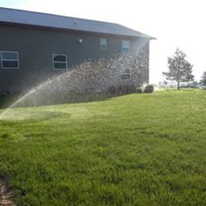 irrigation